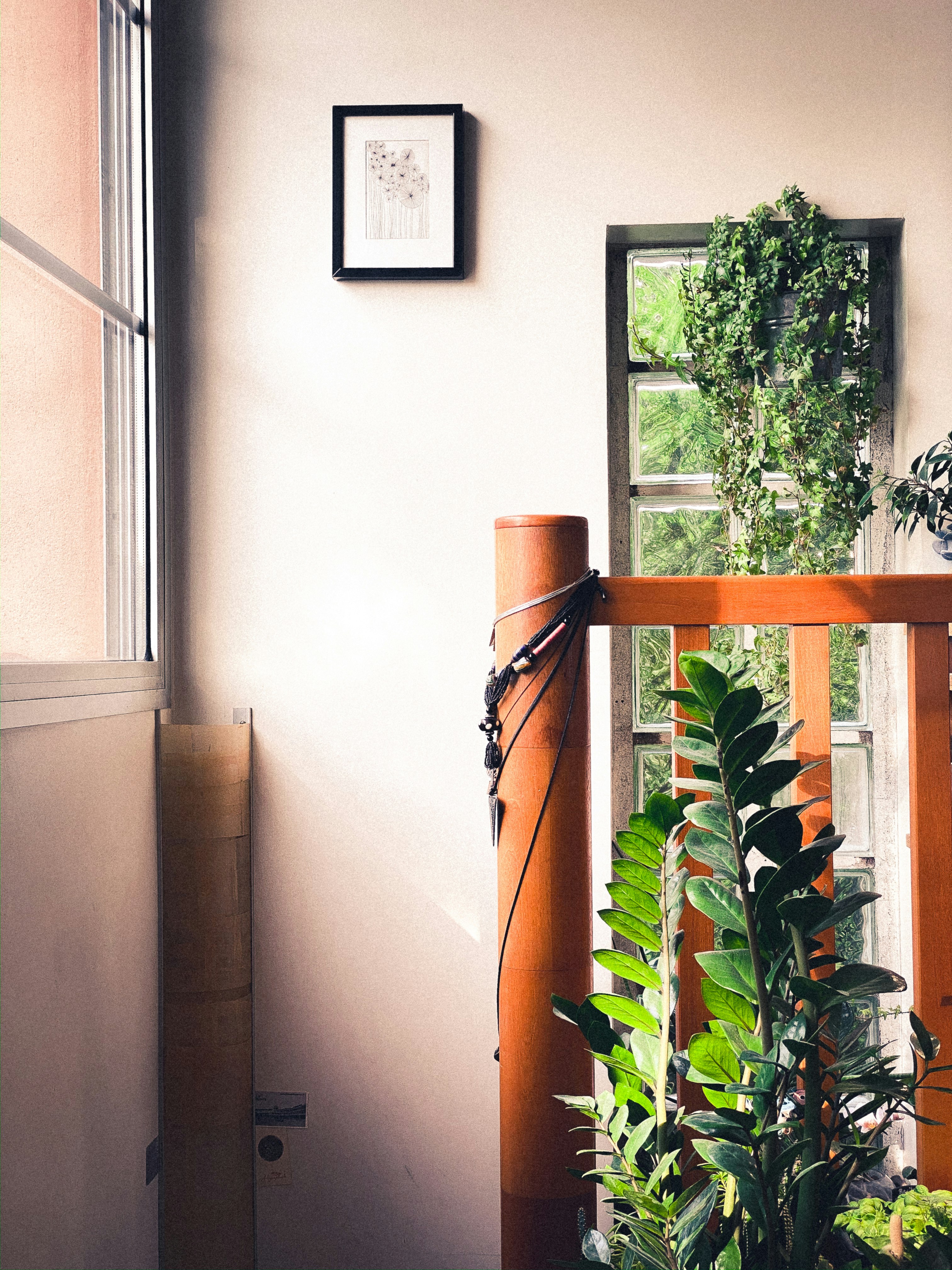 green potted plant on brown wooden table